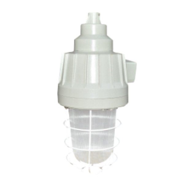 DCG53系列防爆燈(ⅡB、ⅡC)