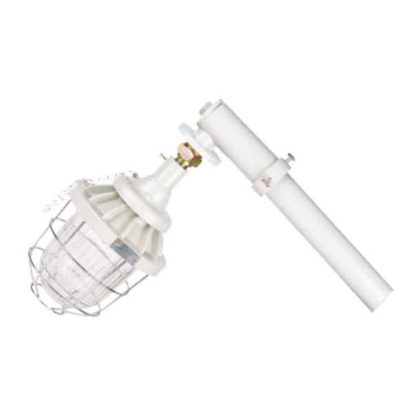 DCM 系列防爆馬路燈(ⅡB、ⅡC、e)